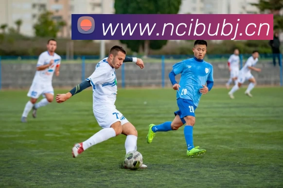 奖项证书